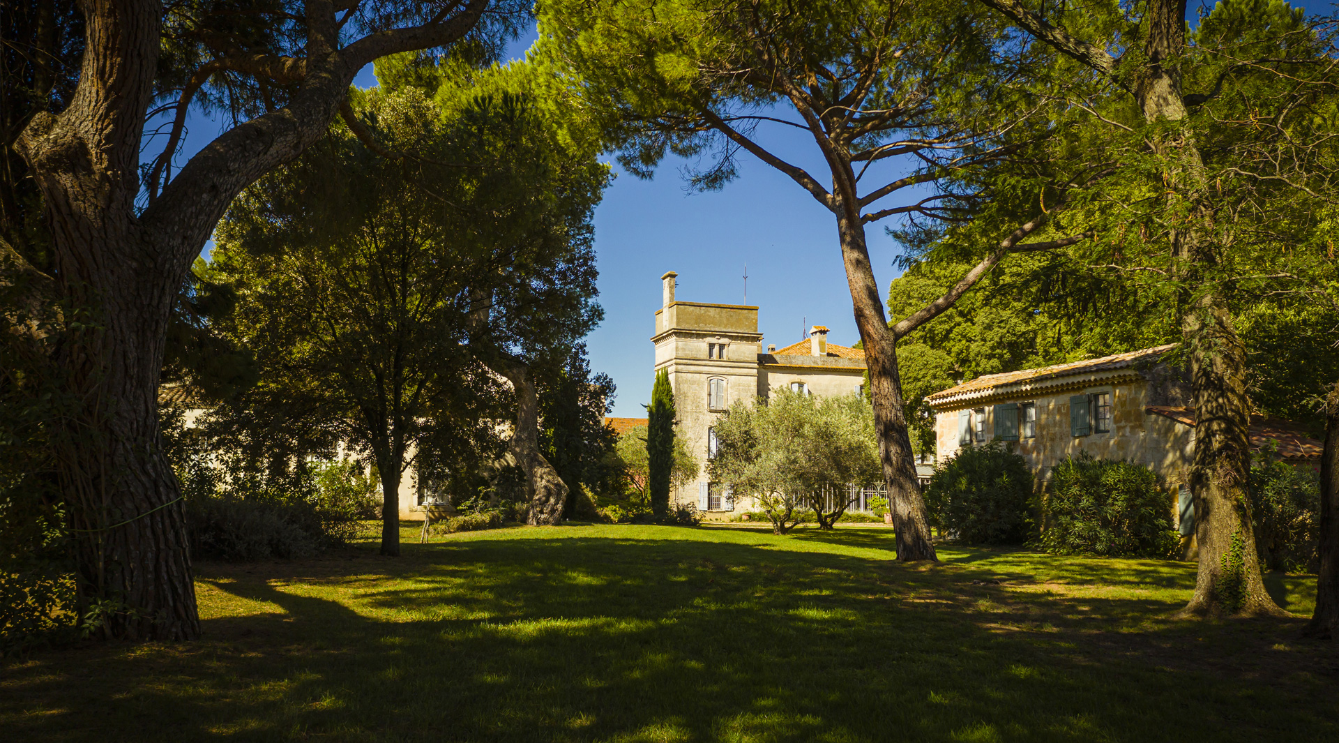 Vue du parc et du Château de Campuget
